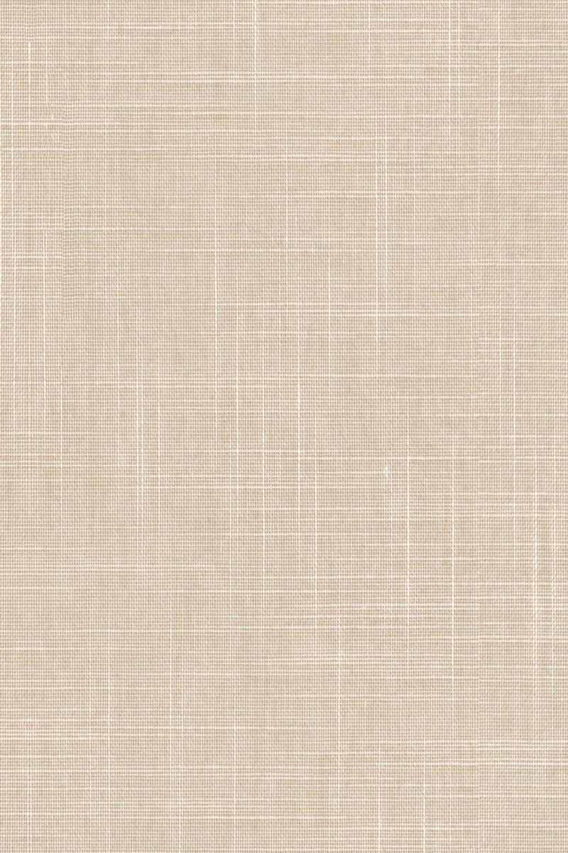 Lamelle Bahamas 2003.1135 Detailansicht