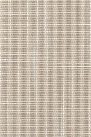 Lamelle Niederlande 2003.1025