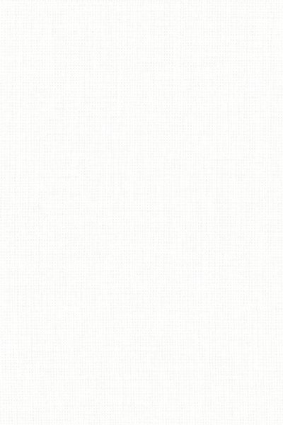 Lamelle Chile 1001.1142