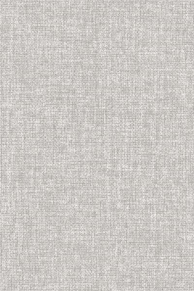 Lamelle Chile BO 2004.1174