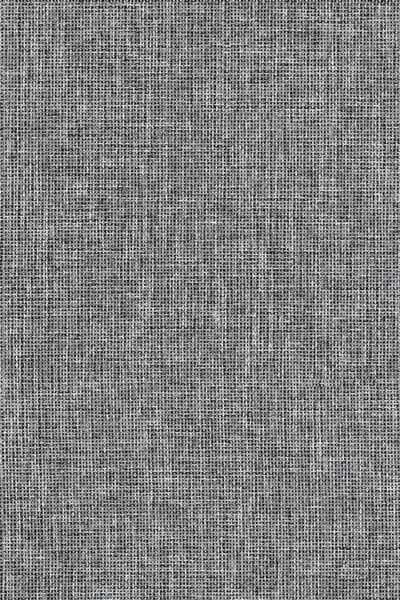 Lamelle Chile BO 9006.1176