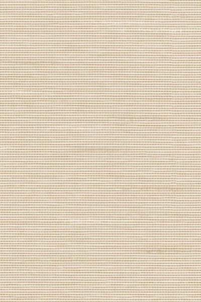 Lamelle Haiti 2002.1165