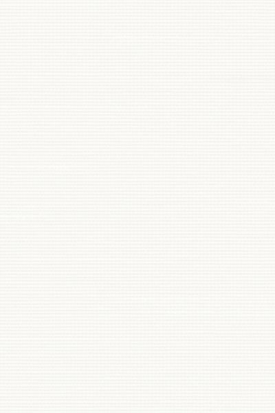 Lamelle Haiti 1001.1164