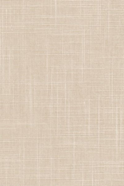 Lamelle Bahamas 2003.1135