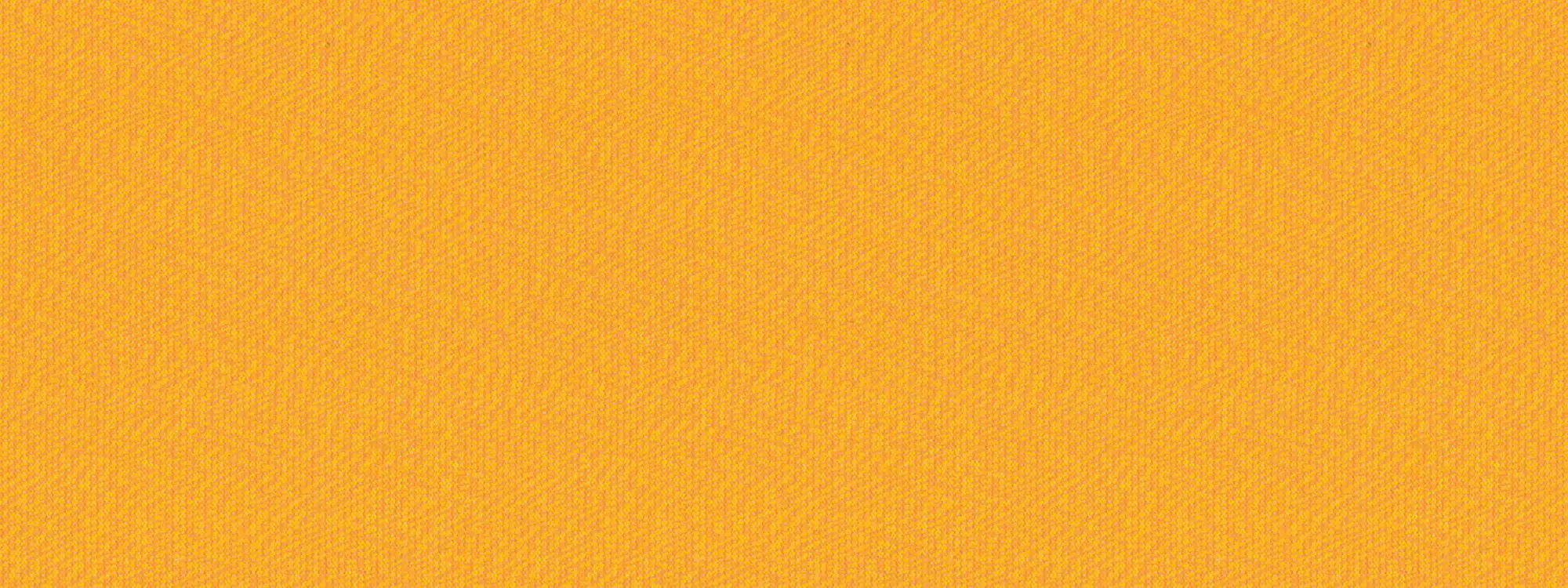 Detailansicht Markise Maggese G268