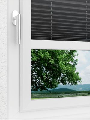 Preview LYSEL HOME Plissee 233A Aralia 3