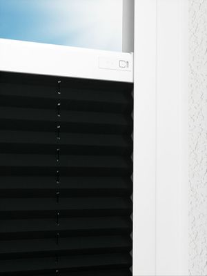 Preview LYSEL HOME Plissee 240A Aralia Pearl 2