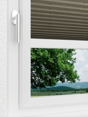 Preview LYSEL HOME Plissee 134A Betula BO 3