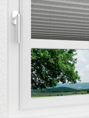 Preview LYSEL HOME Plissee 217A Betula BO 3