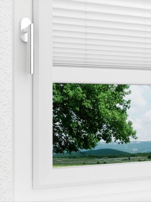 Preview LYSEL HOME Plissee 103B Aralia BO 3