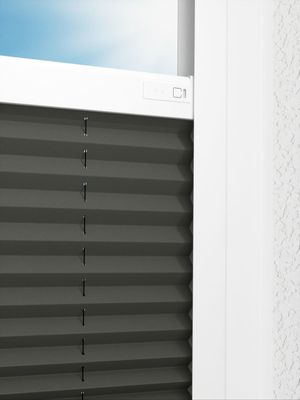 Preview LYSEL HOME Plissee 202B Aralia BO 2