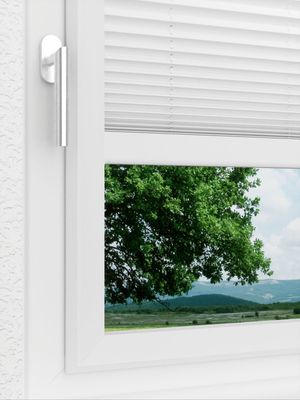 Preview LYSEL HOME Plissee 205B Aralia 3