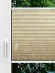 LYSEL HOME Plissee 319A Sensitivo Fensteransicht