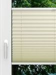 LYSEL HOME Plissee 439A Elegance Stripes Fensteransicht