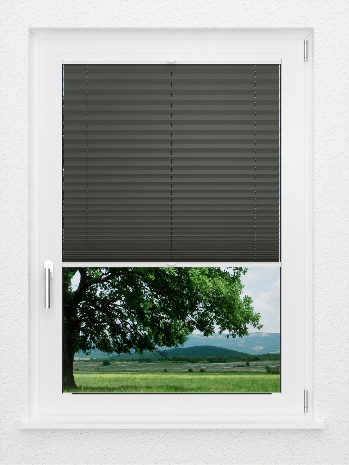 Detailansicht LYSEL HOME Plissee 202A Aralia BO