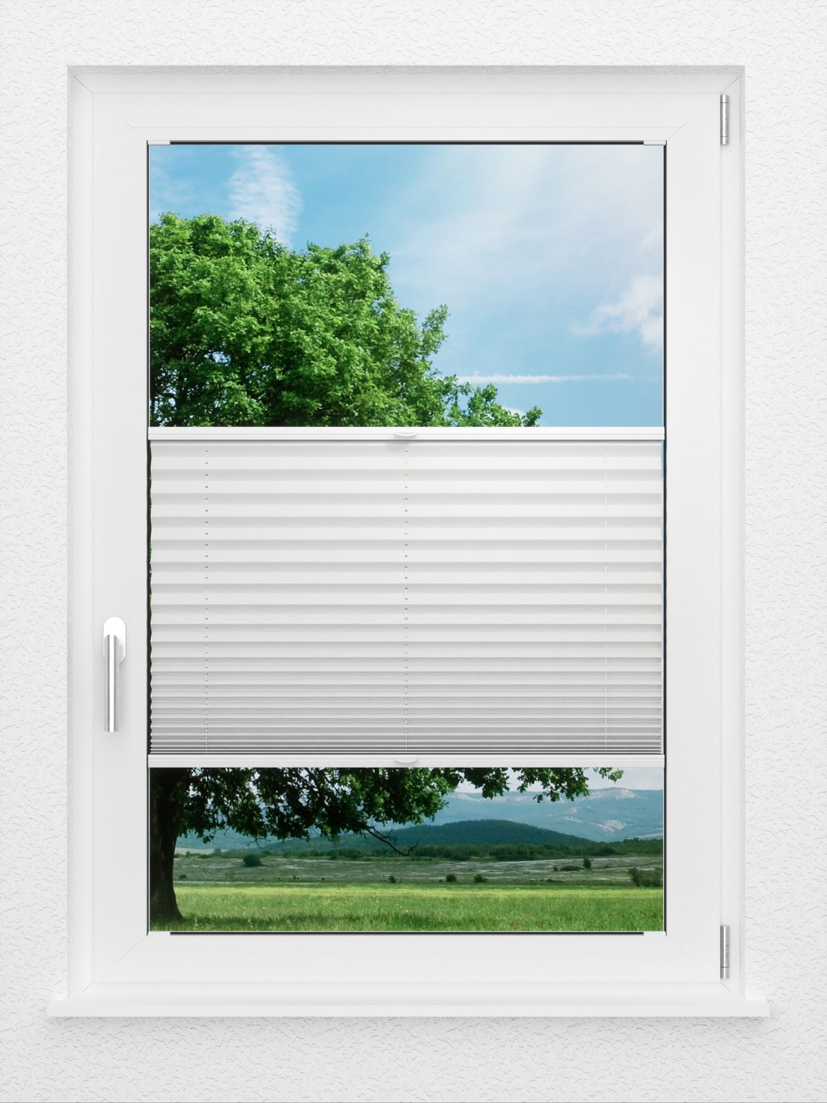 Detailansicht LYSEL HOME Plissee 121A Pinus BO