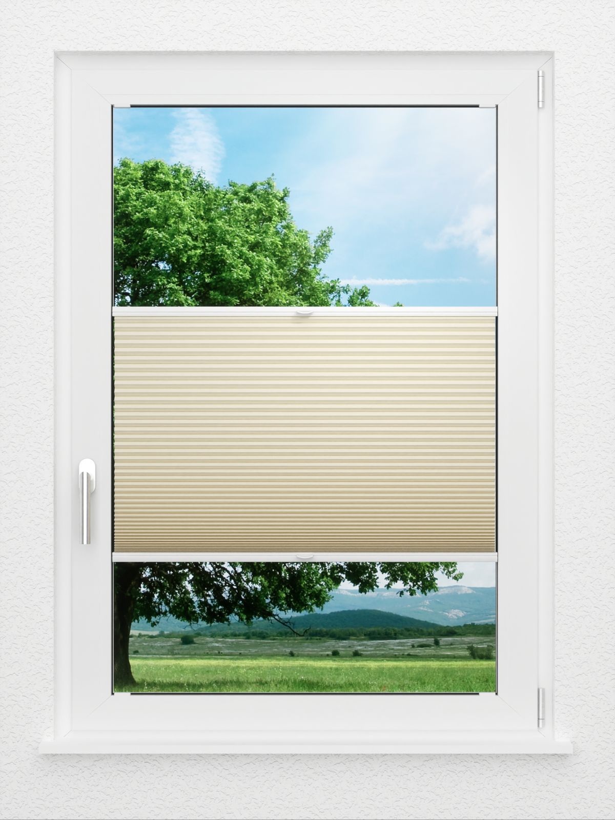 Detailansicht LYSEL HOME Plissee 033A Nana BO Wabe