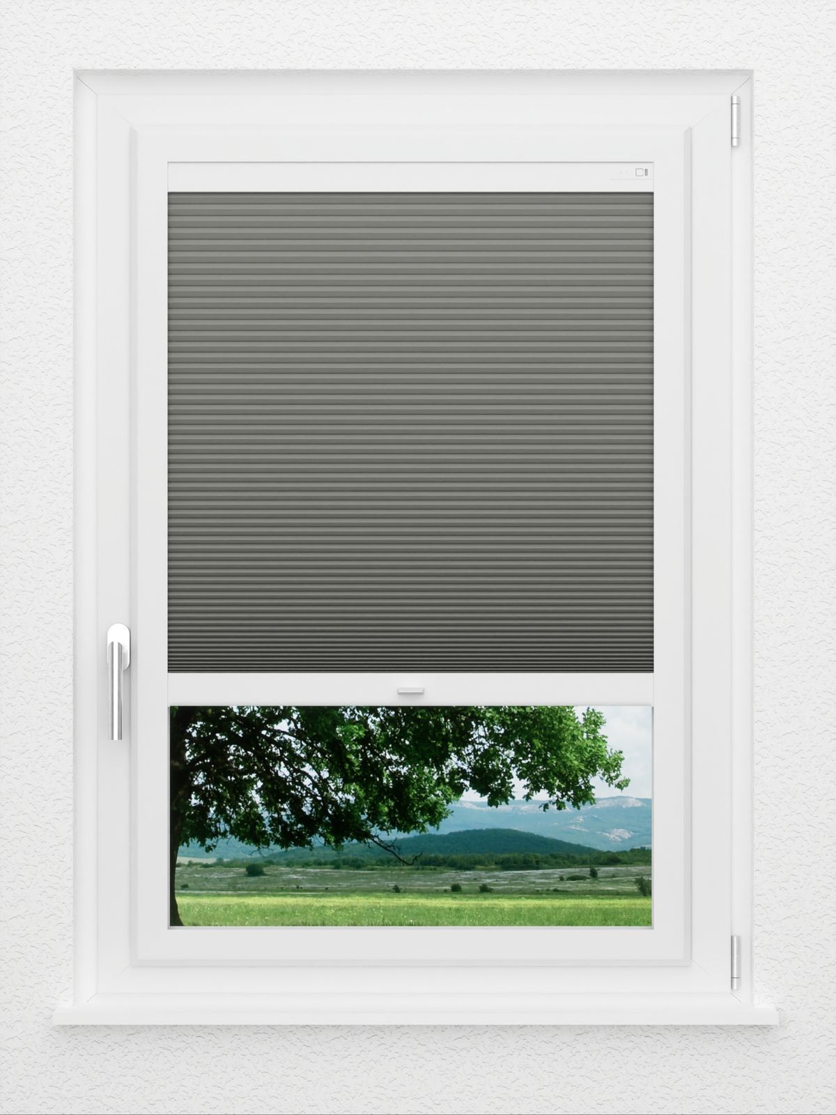 Detailansicht LYSEL HOME Plissee 002A Nana BO Wabe