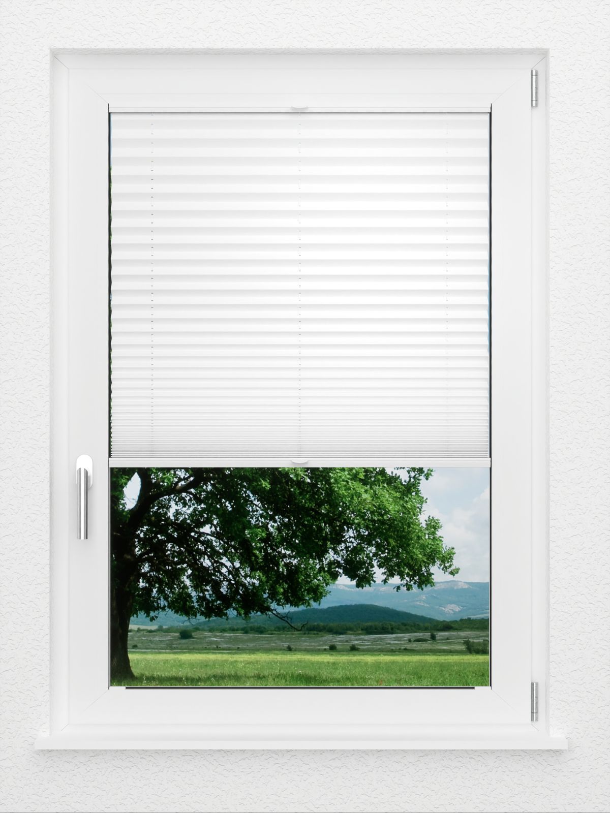 Detailansicht LYSEL HOME Plissee 205B Aralia