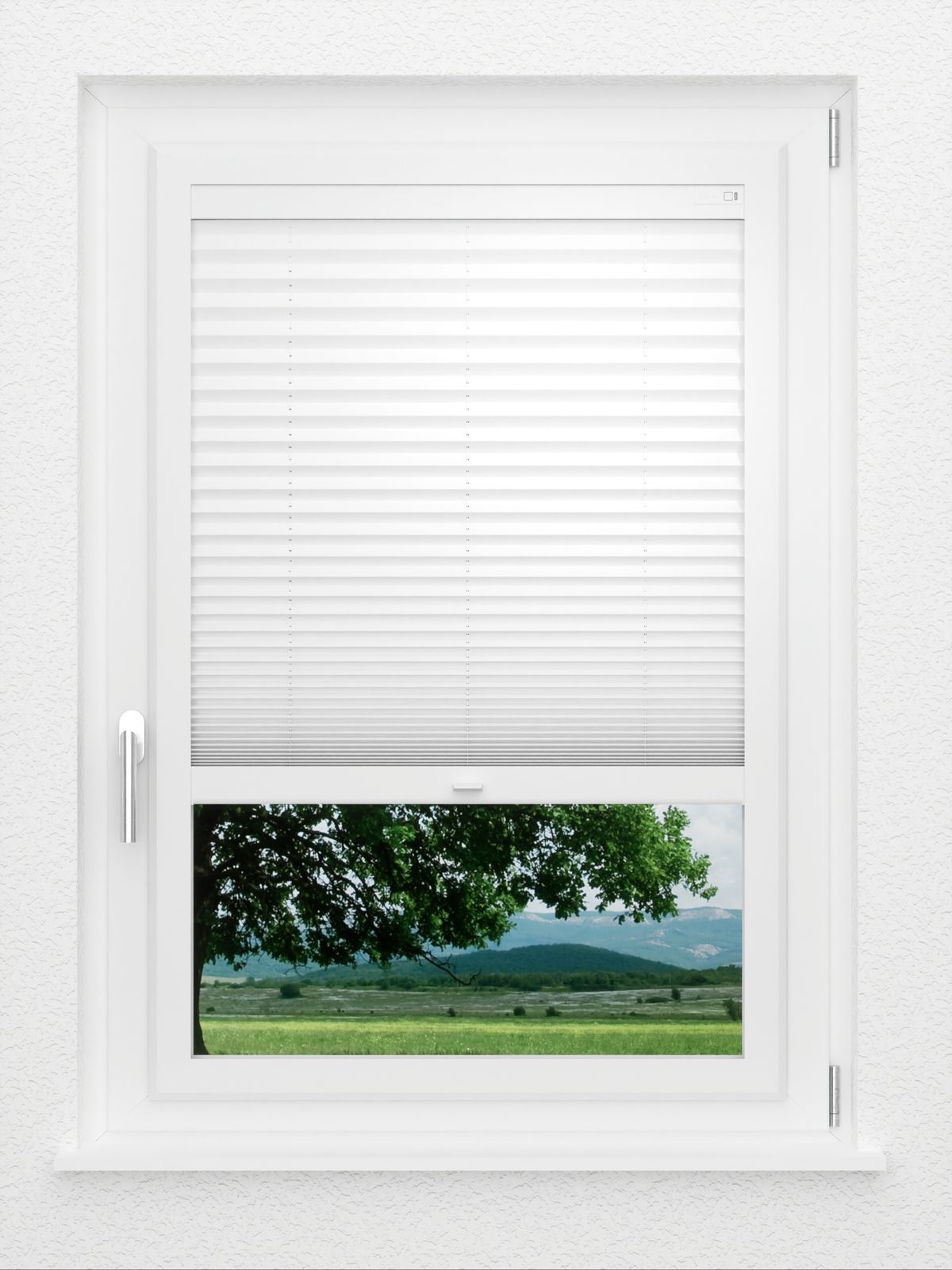 Detailansicht LYSEL HOME Plissee 205B Aralia