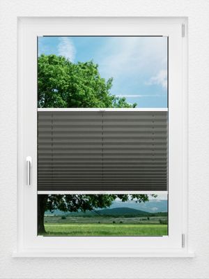 Preview LYSEL HOME Plissee 208A Aralia 0