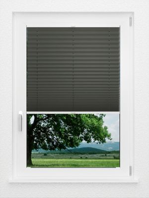 Preview LYSEL HOME Plissee 202A Aralia BO 1