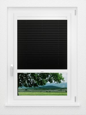 Preview LYSEL HOME Plissee 238A Aralia BO 1