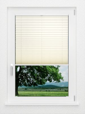 Preview LYSEL HOME Plissee 101A Aralia Pearl 1