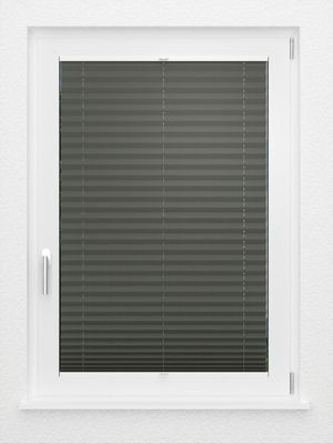 Preview LYSEL HOME Plissee 211A Aralia Pearl 2