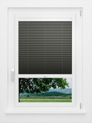 Preview LYSEL HOME Plissee 211A Aralia Pearl 1