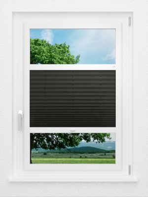 Preview LYSEL HOME Plissee 230A Erinus 0