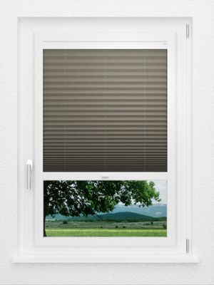 Preview LYSEL HOME Plissee 221A Pinus BO 1