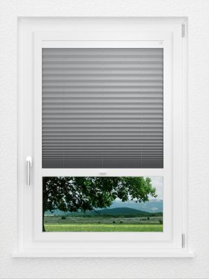 Preview LYSEL HOME Plissee 218A Pinus BO 1