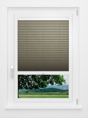 Preview LYSEL HOME Plissee 134A Betula BO 1