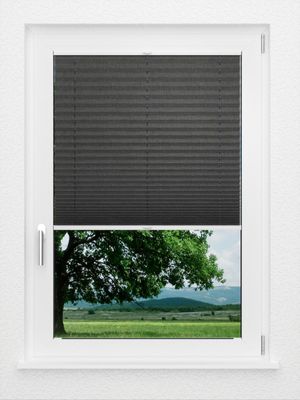 Preview LYSEL HOME Plissee 117A Betula BO 1