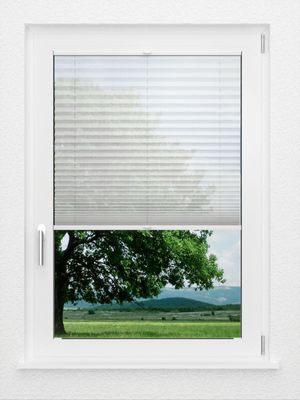 Preview LYSEL HOME Plissee 113A Calluna 1