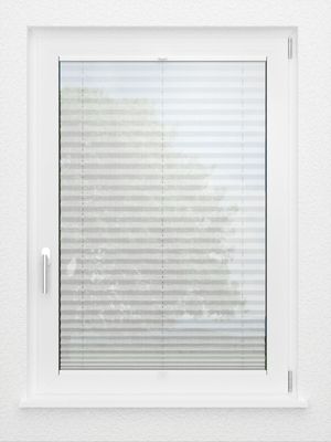 Preview LYSEL HOME Plissee 113A Calluna 2