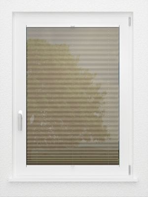 Preview LYSEL HOME Plissee 111A Calluna 2