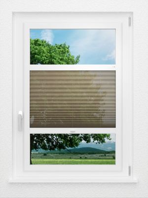 Preview LYSEL HOME Plissee 111A Calluna 0