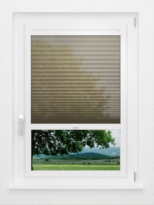 Preview LYSEL HOME Plissee 111A Calluna 1