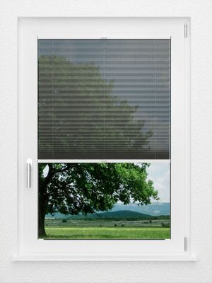 Preview LYSEL HOME Plissee 112A Calluna 1