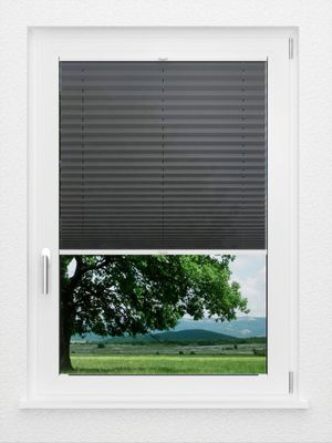 Preview LYSEL HOME Plissee 306A Arabis 1