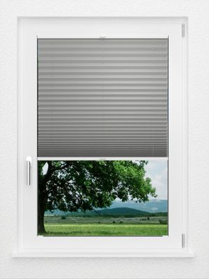 Preview LYSEL HOME Plissee 309A Aloe 1