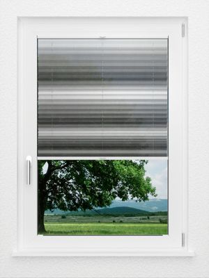 Preview LYSEL HOME Plissee 418A Light Wave 1