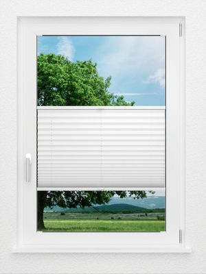 Preview LYSEL HOME Plissee 103B Aralia BO 0