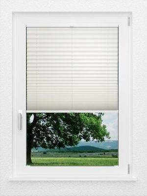 Preview LYSEL HOME Plissee 219B Aralia BO 1