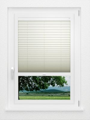 Preview LYSEL HOME Plissee 219B Aralia BO 1