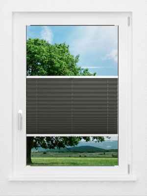 Preview LYSEL HOME Plissee 202B Aralia BO 0