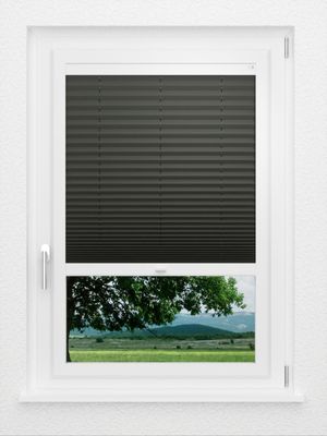 Preview LYSEL HOME Plissee 202B Aralia BO 1