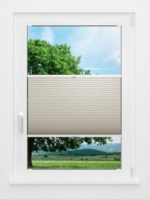 Preview LYSEL HOME Plissee 009A Calluna Wabe 0